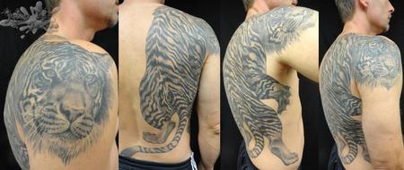 Tattoos - Tiger - 100581